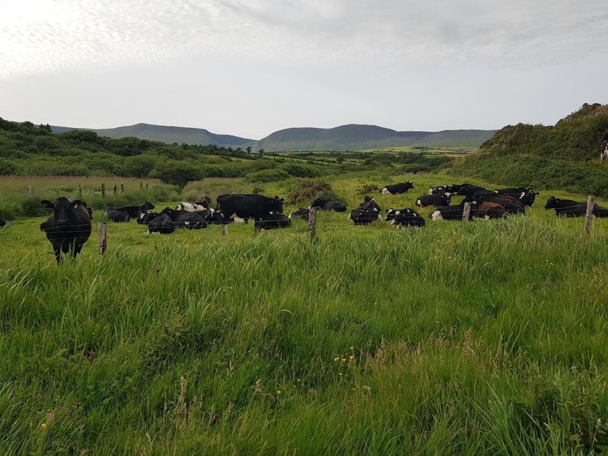 Traditional Irish Farmhouse Anascaul 외부 사진